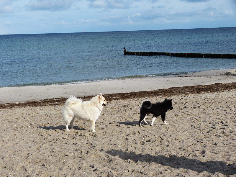 0037 Evita und Ici.JPG